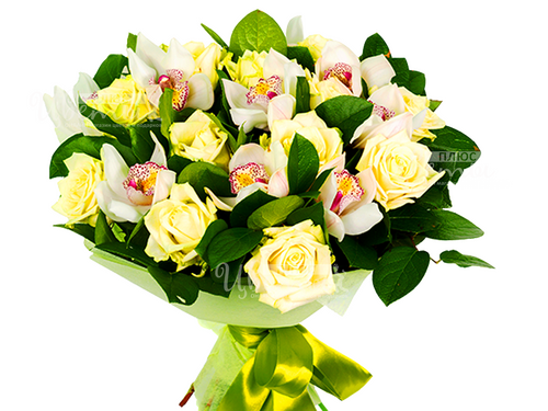 доставка цветов пятигорск, цветы плюс пятигорск, 
